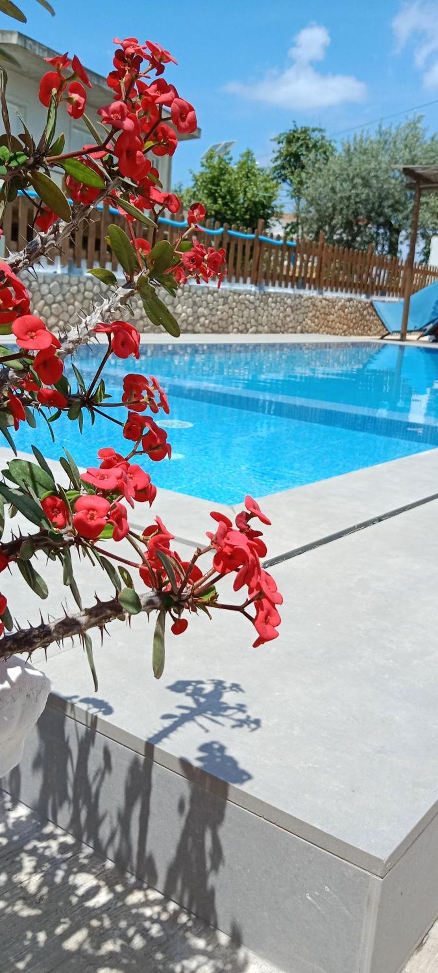 Hotel Villa Ruci Ksamil Oda fotoğraf